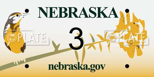 3 Nebraska License Plate