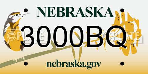 3000BQ Nebraska License Plate