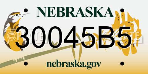 30045B5 Nebraska License Plate