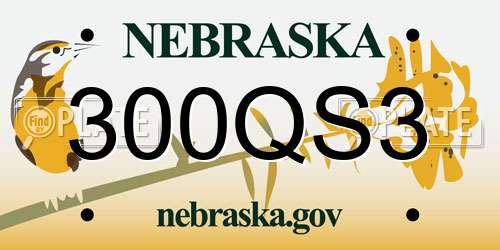 300QS3 Nebraska License Plate