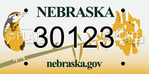 30123 Nebraska License Plate