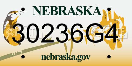 30236G4 Nebraska License Plate