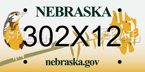 302X12 Nebraska License Plate