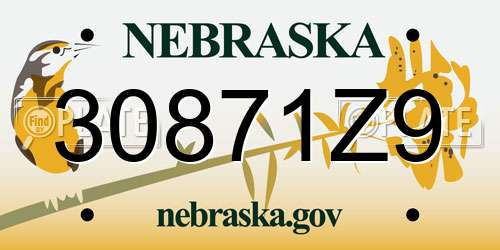 30871Z9 Nebraska License Plate