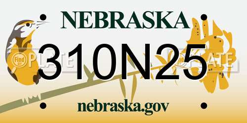 310N25 Nebraska License Plate