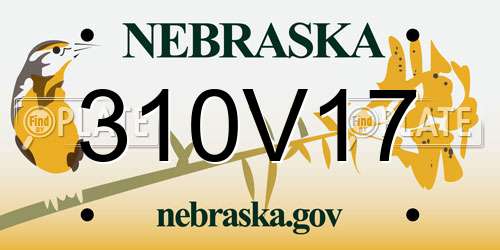 310V17 Nebraska License Plate