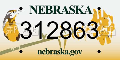 312863 Nebraska License Plate