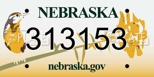 313153 Nebraska License Plate