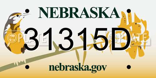 31315D Nebraska License Plate