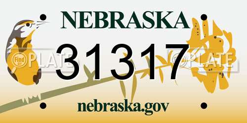 31317 Nebraska License Plate
