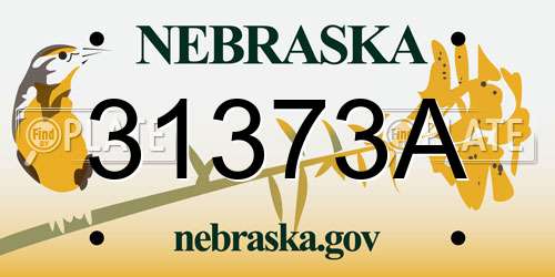 31373A Nebraska License Plate