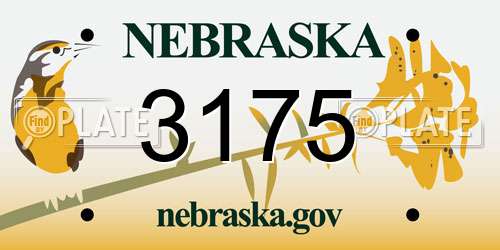 3175 Nebraska License Plate