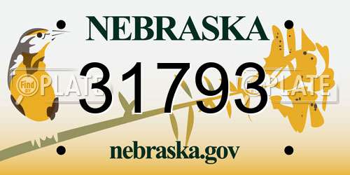 31793 Nebraska License Plate