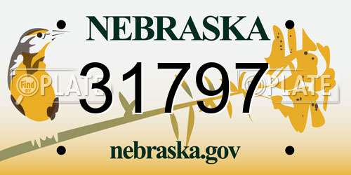 31797 Nebraska License Plate