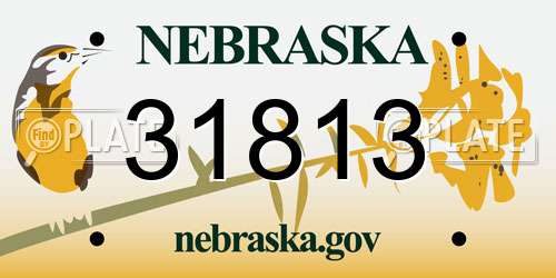 31813 Nebraska License Plate
