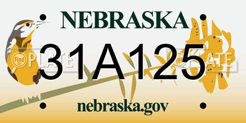 31A125 Nebraska License Plate