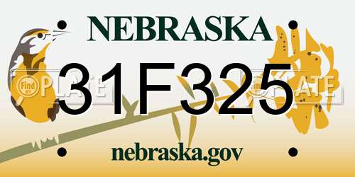 31F325 Nebraska License Plate