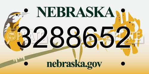 3288652 Nebraska License Plate
