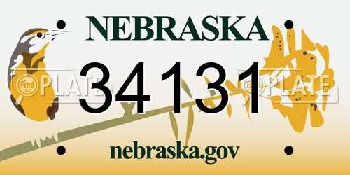 34131 Nebraska License Plate
