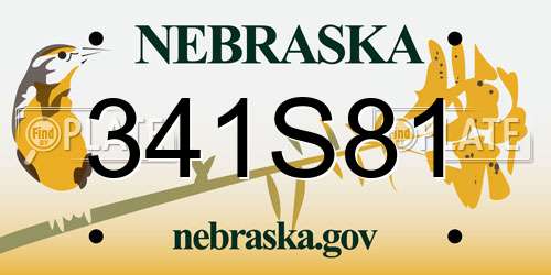 341S81 Nebraska License Plate