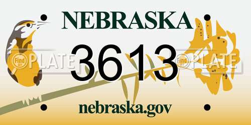 3613 Nebraska License Plate