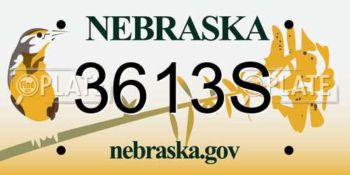 3613S Nebraska License Plate