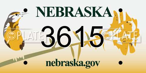 3615 Nebraska License Plate