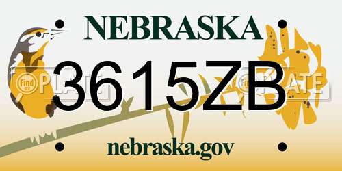 3615ZB Nebraska License Plate