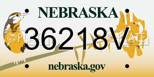 36218V Nebraska License Plate