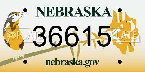 36615 Nebraska License Plate