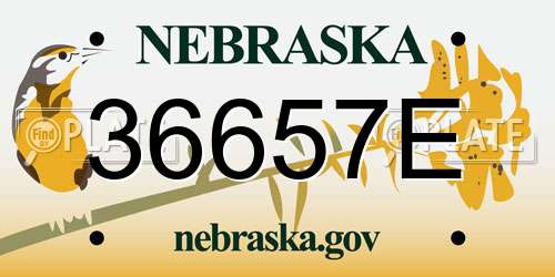 36657E Nebraska License Plate