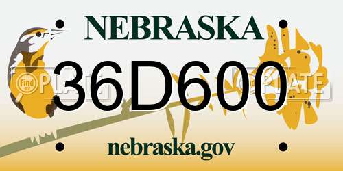 36D600 Nebraska License Plate
