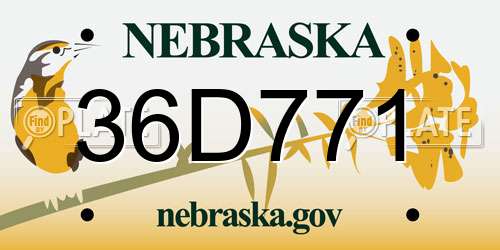 36D771 Nebraska License Plate