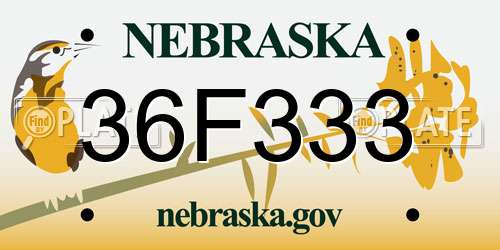 36F333 Nebraska License Plate