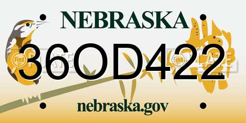 36OD422 Nebraska License Plate