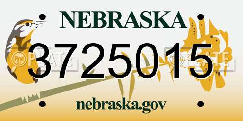3725015 Nebraska License Plate