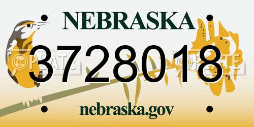 3728018 Nebraska License Plate
