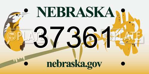 37361 Nebraska License Plate
