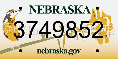 3749852 Nebraska License Plate