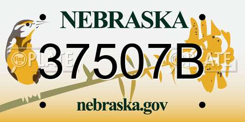 37507B Nebraska License Plate