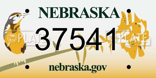 37541 Nebraska License Plate