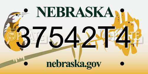 37542T4 Nebraska License Plate