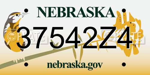 37542Z4 Nebraska License Plate
