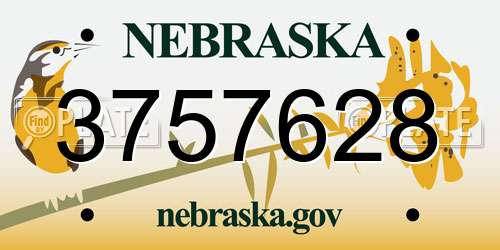 3757628 Nebraska License Plate