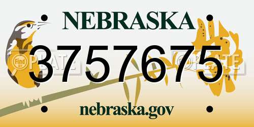 3757675 Nebraska License Plate