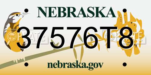 37576T8 Nebraska License Plate