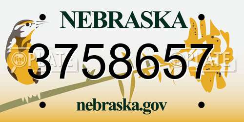 3758657 Nebraska License Plate