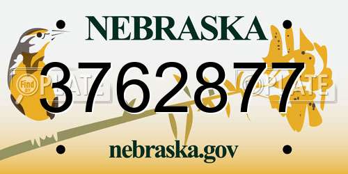 3762877 Nebraska License Plate