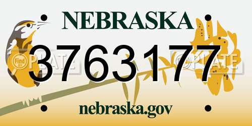 3763177 Nebraska License Plate