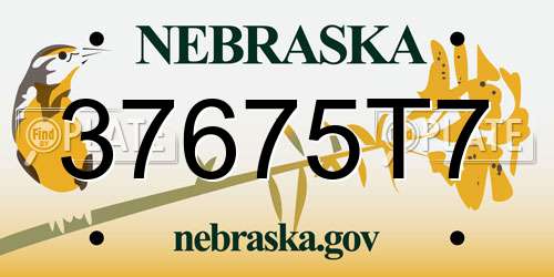 37675T7 Nebraska License Plate